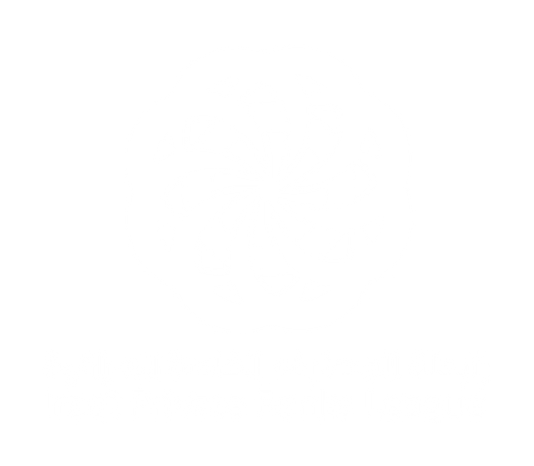 Iraqi Private Banks League