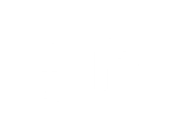 Gini